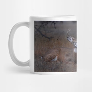 Mellow Buck - White-tailed Deer Mug